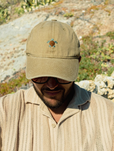 Turtle Cap