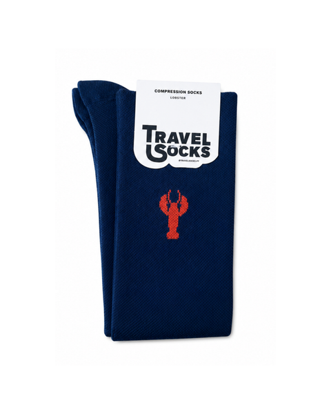 Lobster - 1 Icon Compression